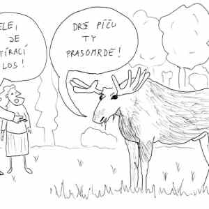 Obrázek 'Prasomrde'