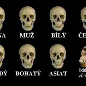 Obrázek 'Pravda pravdouci xxxl'
