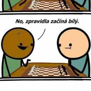 Obrázek 'Pravidla sachu'