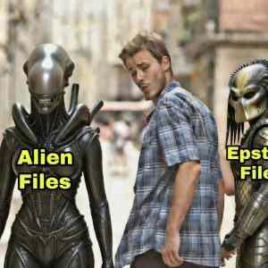 Obrázek 'Predator&nbsp;vs&nbsp;Alien&nbsp;files'