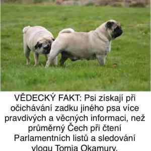 Obrázek 'Predavani informaci'