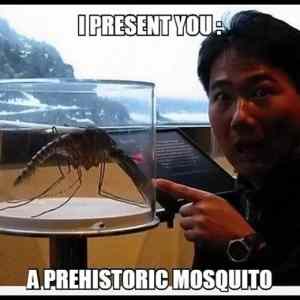 Obrázek 'Prehistoric-mosquito'