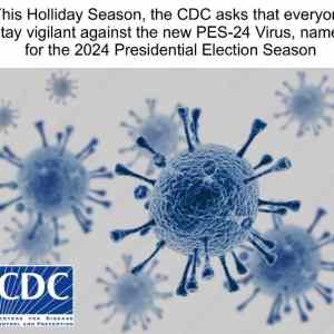 Obrázek 'Presidenstky volebnmi virus USA'