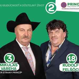 Obrázek 'Princ cyp'
