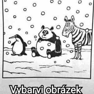 Obrázek 'ProRuzzakyTopri'