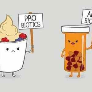 Obrázek 'Probiotics'