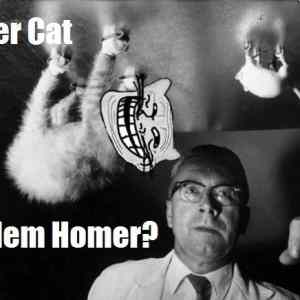 Obrázek 'Problem&nbsp;Homer'