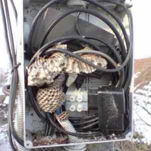Obrázek 'Problem electrician'