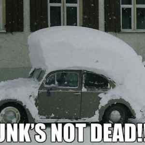 Obrázek 'Punks Not Dead  '