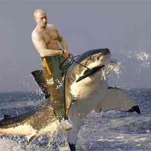 Obrázek 'Putin ve chvili volna'