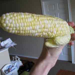 Obrázek 'Pyjo kukurice'