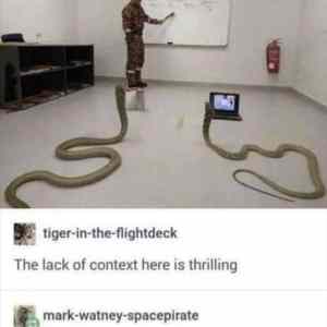 Obrázek 'Python se vyslovuje pajton'