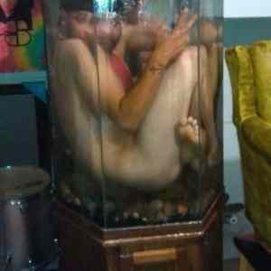 Obrázek 'Quick Dip'