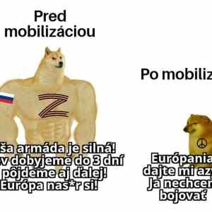 Obrázek 'RU  pred a po'