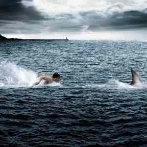 Obrázek 'Race75489'