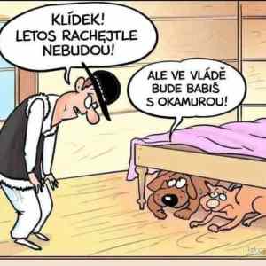 Obrázek 'Rachejtle&nbsp;nebudou'