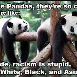 Obrázek 'Racism is stupid 21-01-2012'