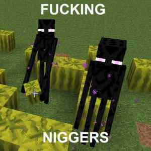 Obrázek 'Racist Minecraft'