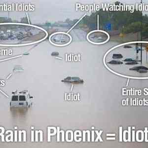 Obrázek 'Rain Idiots'