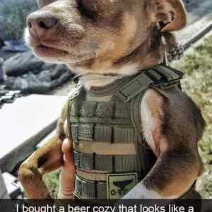 Obrázek 'Rambo-Doggo'