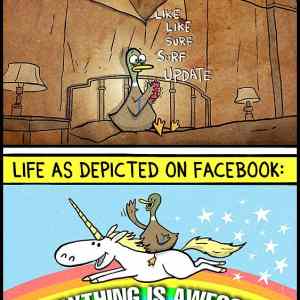 Obrázek 'Real life vs Facebook life'