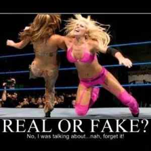Obrázek 'Real or Fake 15-03-2012'