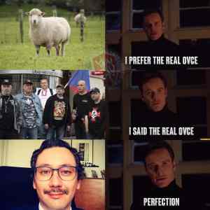 Obrázek 'Real&nbsp;ovce'