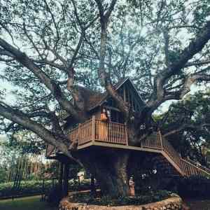 Obrázek 'Really Awesome TREE House'
