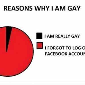 Obrázek 'Reasons Why I Am Gay'