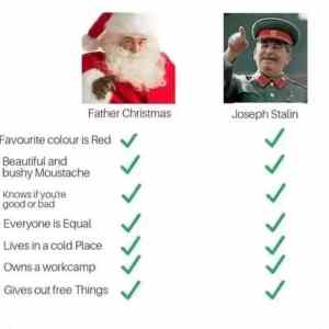 Obrázek 'Red or red'