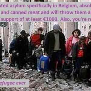 Obrázek 'Refugeeeees'