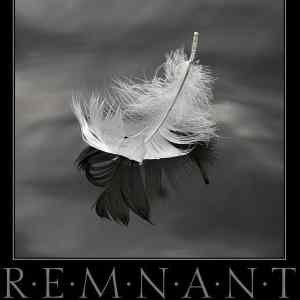 Obrázek 'Remnant 07-02-2012'