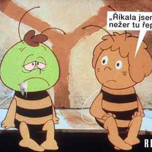 Obrázek 'Repka-Vilik'