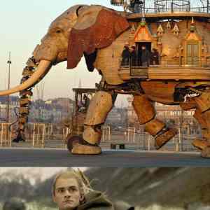 Obrázek 'Robotic elephant 24-02-2012'