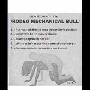 Obrázek 'Rodeo-Bull'