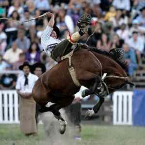 Obrázek 'Rodeo in Uruguay1 '