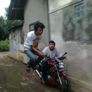 Obrázek 'Romsky&nbsp;Potter'