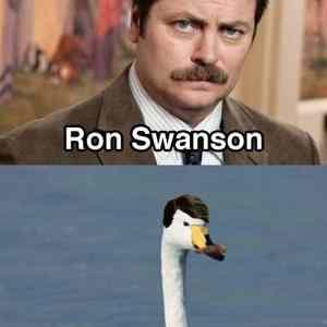 Obrázek 'Ron-Swan 02-04-2012'