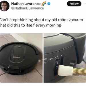 Obrázek 'Roomba nema vuli zit'