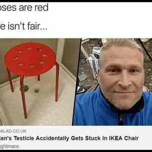 Obrázek 'Roses are red Iife is not fair'