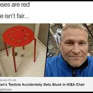 Obrázek 'Roses are red Iife is not fair'
