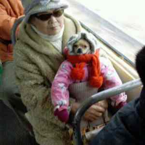 Obrázek 'Roumenovi&nbsp;se&nbsp;narodila&nbsp;dcera'