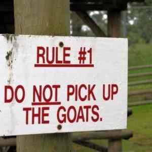Obrázek 'Rule 1'