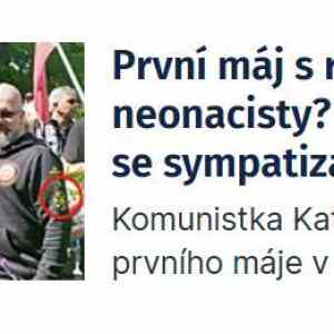Obrázek 'Rusic jedna z mnoha nazi skupin podporujici Putina'
