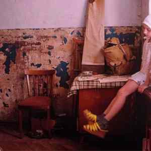 Obrázek 'Ruska cimra'