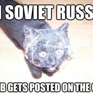 Obrázek 'RussianCat'