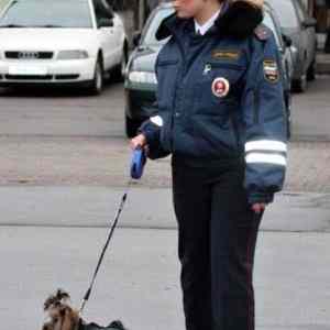 Obrázek 'Russian police dog'