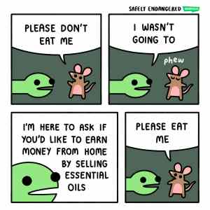 Obrázek 'Safery endangered'