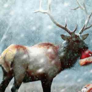 Obrázek 'Santa&nbsp;skoncil&nbsp;spatne'