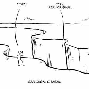 Obrázek 'Sarcasm chasm'